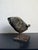 Fossilized fish sculpture made of solid bronze and mounted on a steel base. Brazil circa 1980s. Mário Agostinelli, signed.