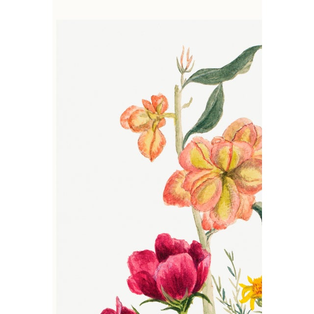 Vintage Wildflowers Study, Botanical Art Print Reproduction, 32" X 48" For Sale In Buffalo - Image 6 of 9