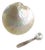 Caviar Mother of Pearl Dish and Spoon For Sale