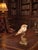 Mid 20th Century Seashell Shell Sculpture Specimen on Antique Koi Fish For Sale - Image 5 of 10
