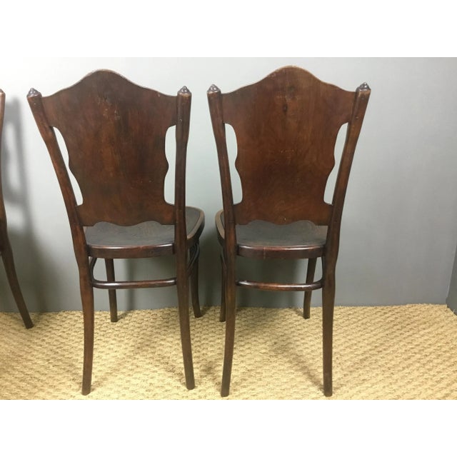 Antique Bentwood Dining Chairs from Jacob & Josef Kohn, Set of 4 For Sale - Image 12 of 18