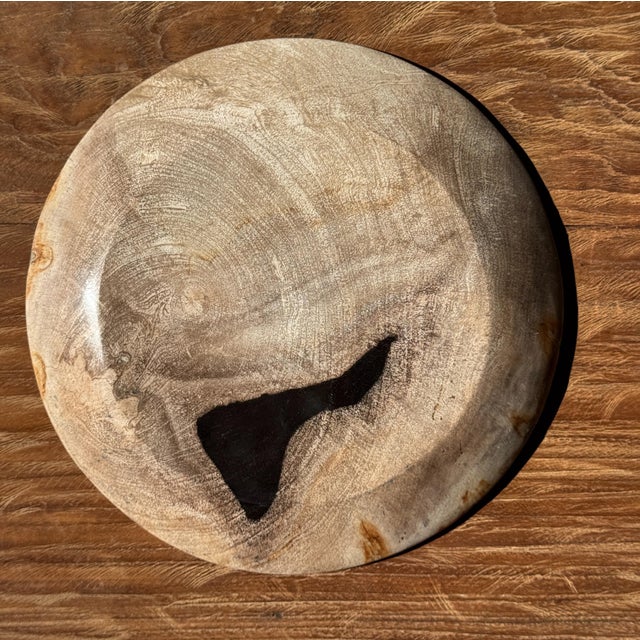 Circular Bowl in Beige Petrified Wood with Black Spots, 1980s For Sale - Image 6 of 9