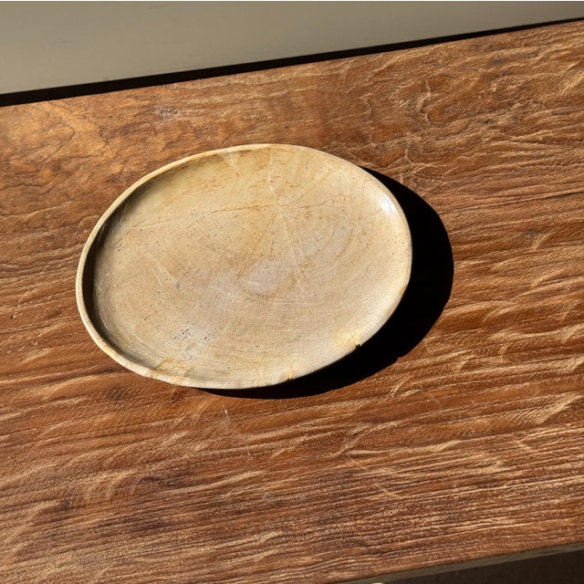 Small Oval Trinket Dish or Tray in Plain Beige Petrified Wood For Sale - Image 15 of 18