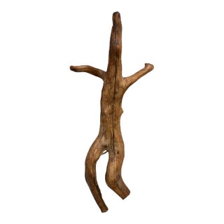 Vintage Free Form Natural Human Driftwood Piece For Sale