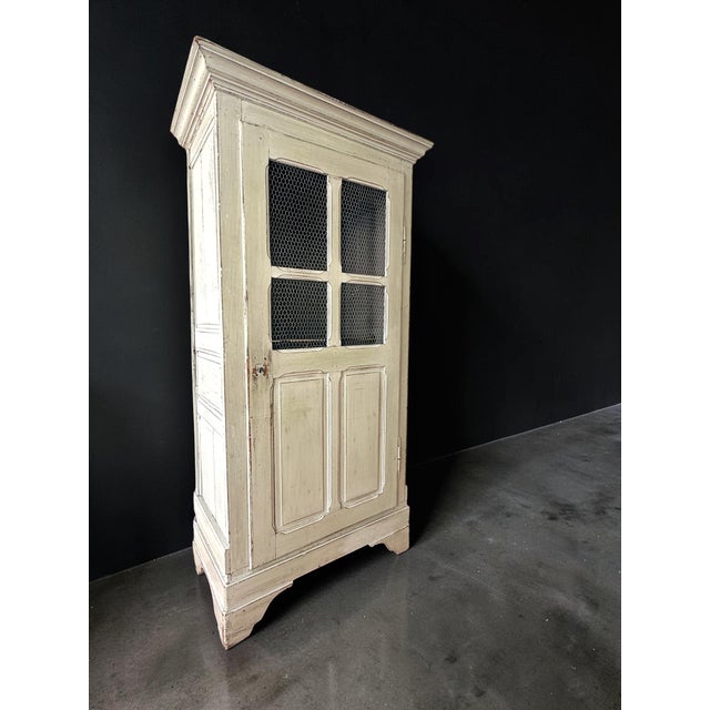 Wood 19th-Century French Provincial Painted Wire-Mesh Armoire For Sale - Image 7 of 18
