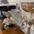 Rococo Pair of Ornate Rococo-Style Silver-Plated 5-Arm Candelabras With Epergne Bowl For Sale - Image 3 of 12