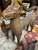 Antique Pair of Bronze Royal Leopard Sculptures From Benin For Sale In Pittsburgh - Image 6 of 18