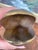 Mid-20th Century Solid Brass Toned Whale-Shaped Novelty Ashtray or Trinket Holder. For Sale - Image 9 of 10