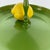 Vintage Mid-Century Modern 5 Tier Green Pedestal Centerpiece Tray Stand For Sale - Image 10 of 12