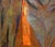 Natalia Vypritskaia, Flame, Oil on Canvas For Sale - Image 4 of 6