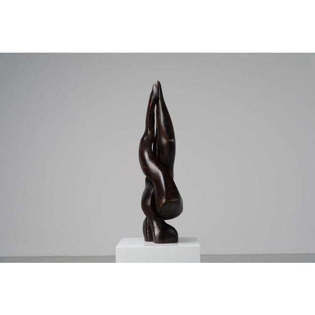 Guy Burais, Organic Abstract Sculpture, 1970s, Wood For Sale - Image 18 of 18