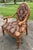 Fairfield Louis XVI Style Oval Back Armchairs - A Pair For Sale - Image 9 of 11
