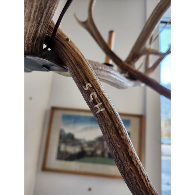 Sand Antique Elk Antler Chandelier For Sale - Image 8 of 13