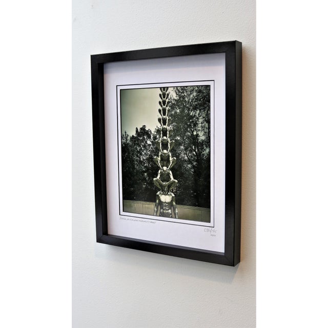 Karma, New Orleans Museum of Fine Art. Limited Edition Photography Limited Edition Framed Architectural Photography by C....