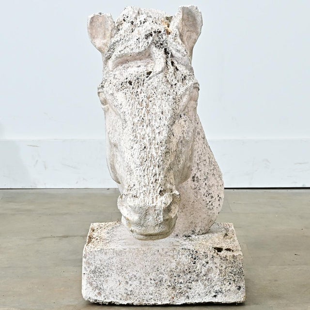Stone Early 20th Century English Equestrian Bust of a Horse's Head For Sale - Image 7 of 10