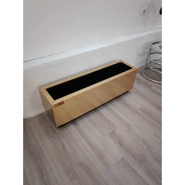 Beautiful planter/plant holder by Hobby Flowers. Barcelona, ​​Spain, 1990s Brass frame. Interior lined with rigid black...