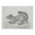 Mid 19th Century Us Pacifc Railroad Squirrel Lithograph Book Plate For Sale