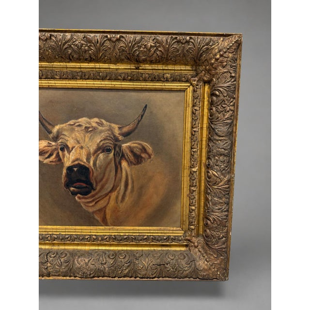 Attr Rosa Bonheur (French, 1822 - 1899) "Portrait of a Highland Bull" W Findley For Sale In Providence - Image 6 of 11