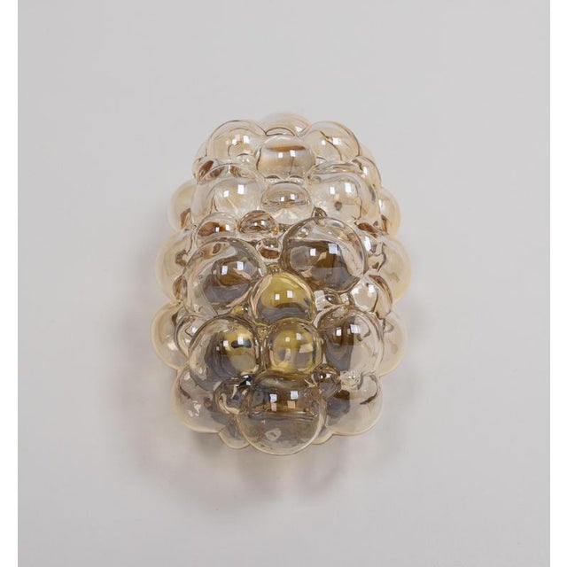 Glass Amber Bubble Glass Sconce by Helena Tynell for Limburg, Germany, 1960s For Sale - Image 7 of 16