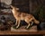 Vintage Full-Body Howling Coyote Taxidermy on Handcrafted Woodland Display Base For Sale - Image 12 of 12