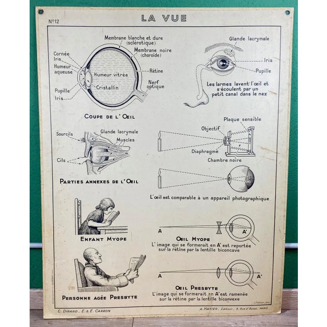 Vintage Cardboard Senses Poster For Sale - Image 4 of 15