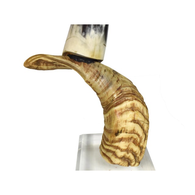 Mid-Century Modern Art Deco Horn Bird Carved Ram Horn Sculpture For Sale - Image 6 of 11