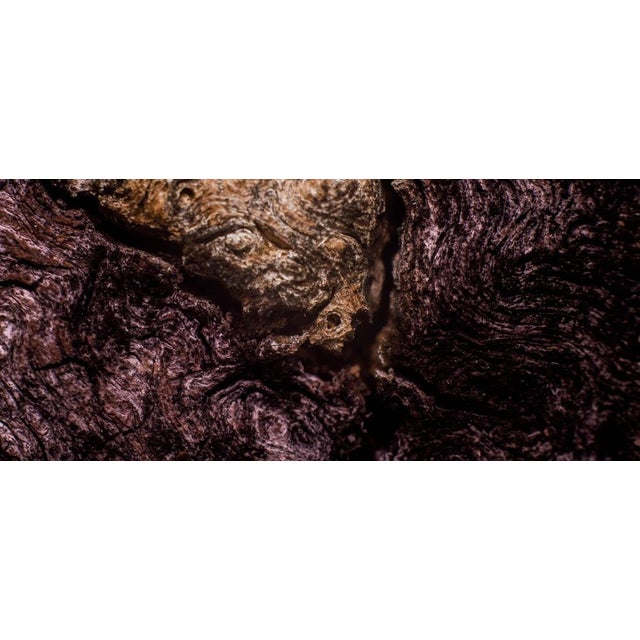 Contemporary Marko Milić, Howl of Terror, Abstract Photography For Sale - Image 3 of 6