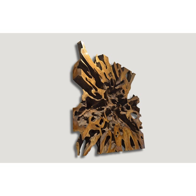 Wood Andrianna Shamaris Impressive Teak Wood Root Art or Coffee Table For Sale - Image 7 of 18