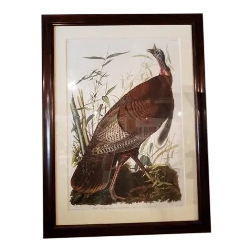 Audubon Havell Edition Pl. 1, Wild Turkey Chairish