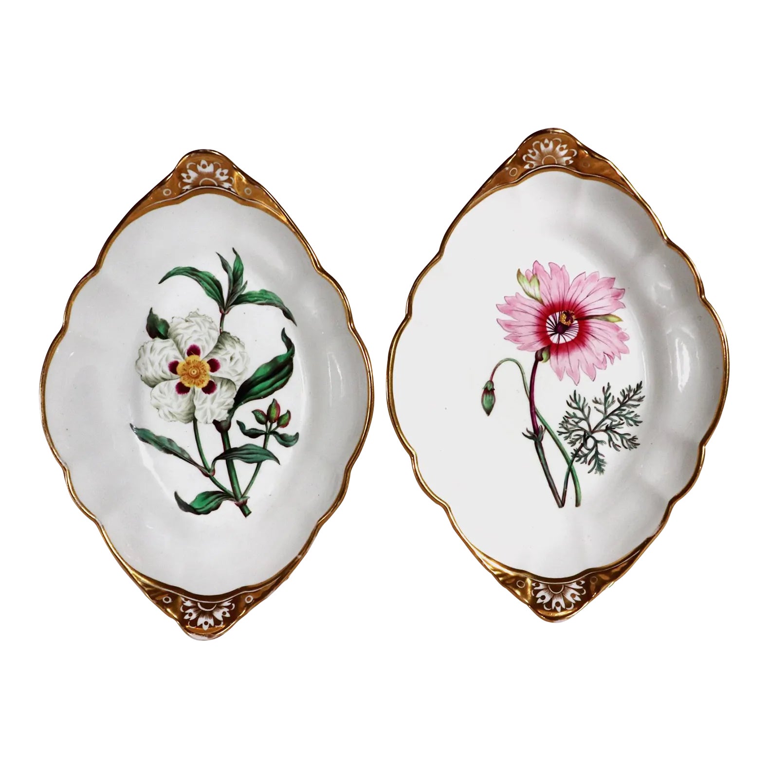 Spode Porcelain Botanical Specimen Dishes- a Pair. After William Curtis ...