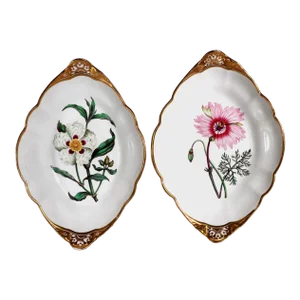 Spode Porcelain Botanical Specimen Dishes- a Pair. After William Curtis