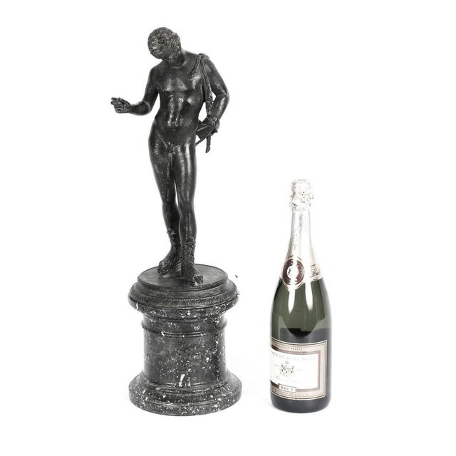 Brown Grand Tour Patinated Bronze Figure of Narcissus, 1870s For Sale - Image 8 of 10