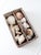 Vintage Collected Seashell Collection For Sale - Image 12 of 17