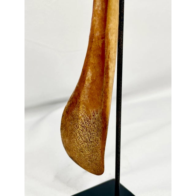 Bone Antique Papua New Guinea Azera Banana Scraper Spoon on Stand For Sale - Image 7 of 7