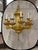 Metal 1900 Caldwell Gilt Bronze Caldwell Chandelier 12 Lights For Sale - Image 7 of 8