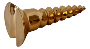 Solid Brass Polished Screw Paperweight
