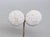Metal Vintage 1960s Signed Napier Round Domed White Beaded Clip Earrings- 2 Pieces For Sale - Image 7 of 7