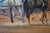 Circa 1967 Charles Apt Thoroughbred Paddock Oil Painting—Gallery Framed For Sale In Washington DC - Image 6 of 16