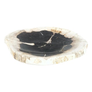Petrified Wood Round Black & Beige Bowl Dish Large Plate For Sale