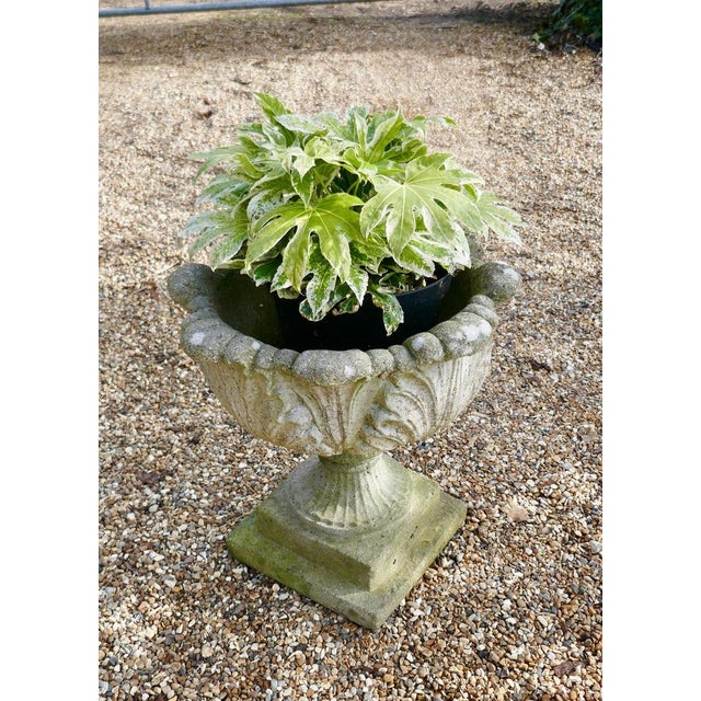 Mid-Century Modern Acanthus Leaf Weathered Garden Planter, 1950s For Sale - Image 3 of 7