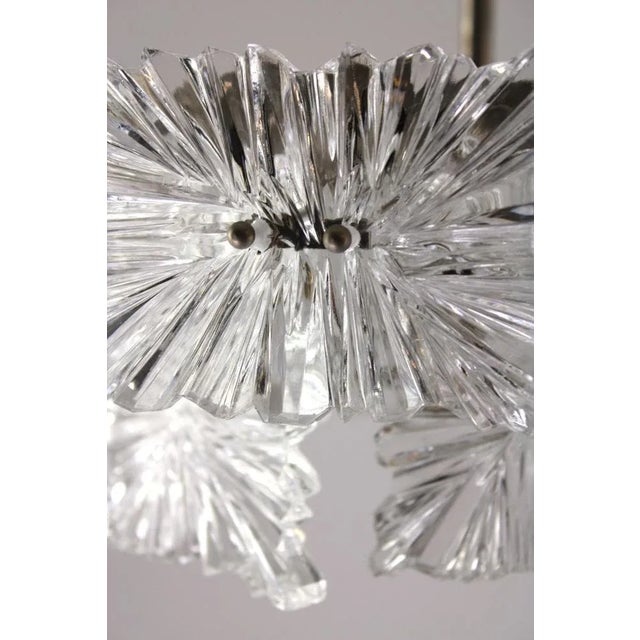 Glass from Stölzle, 1960s For Sale - Image 6 of 11