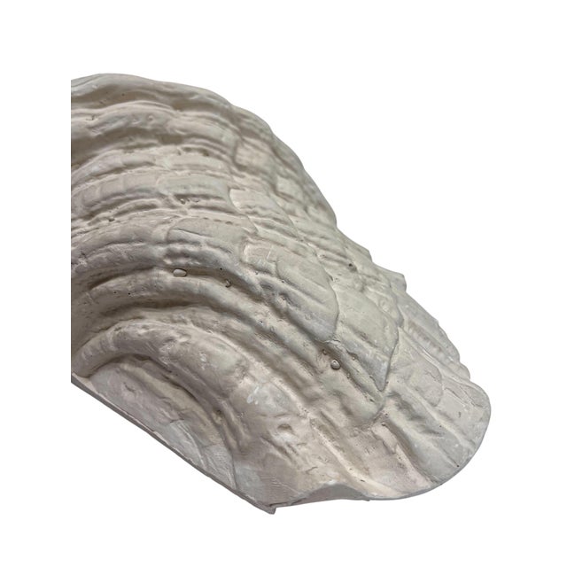 Gray Large Vintage Plaster Organic Sea Shell Wall Light, 1970s For Sale - Image 8 of 10