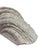 Gray Large Vintage Plaster Organic Sea Shell Wall Light, 1970s For Sale - Image 8 of 10