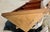 Wood Vintage Pennsylvania House Cherry Neoclassical Style Open Shelving Corner Display Etagere Adjustable Bookshelf. For Sale - Image 7 of 18
