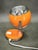 Space Age Orange Eyeball Table Lamp by Goffredo Reggiani, Italy, 1970s For Sale - Image 6 of 10