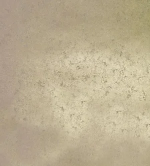 The House of Scalamandre Hand Hammered Leaf Wallcovering, Nickel