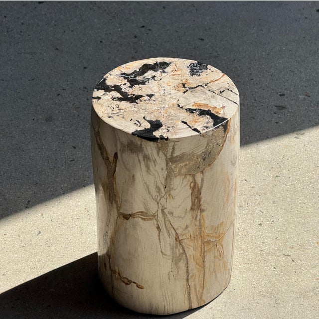 Small Side Table in White Petrified Wood Inlaid with Black, 1980s For Sale - Image 9 of 11