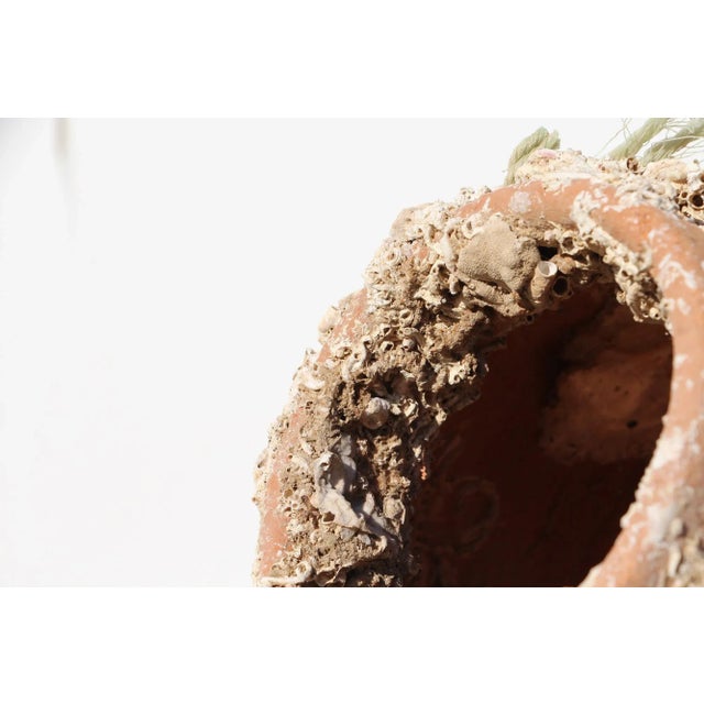 Ceramic 19th Century Antique Terracotta Octopus Trap Undersea Pot For Sale - Image 7 of 13