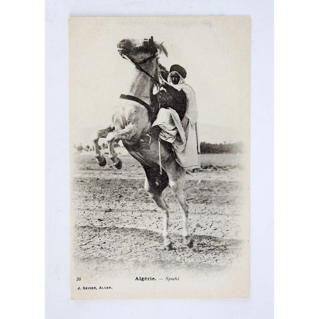 Rustic European Vintage Algerian Barb Horse & Rider Postcard Print For Sale - Image 3 of 3