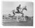1933 black and white photo of Silver Fizz jumping at Monmouth County Horse Show, Rumson, New Jersey. Publication...